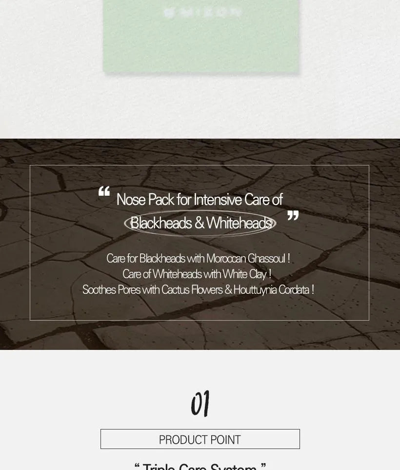 Mizon Pore Fresh Clear Nose Patch