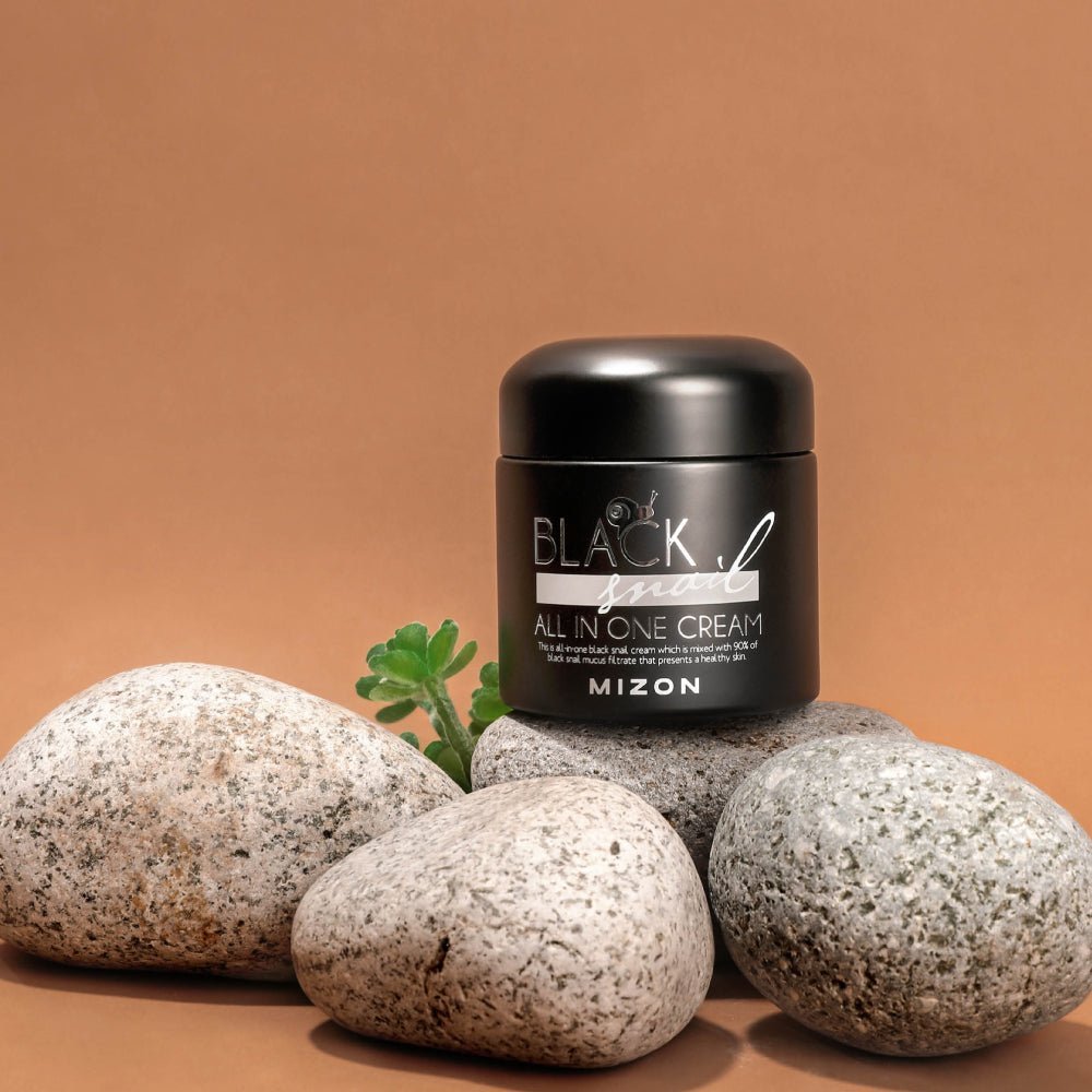 Mizon Black Snail All In One Cream